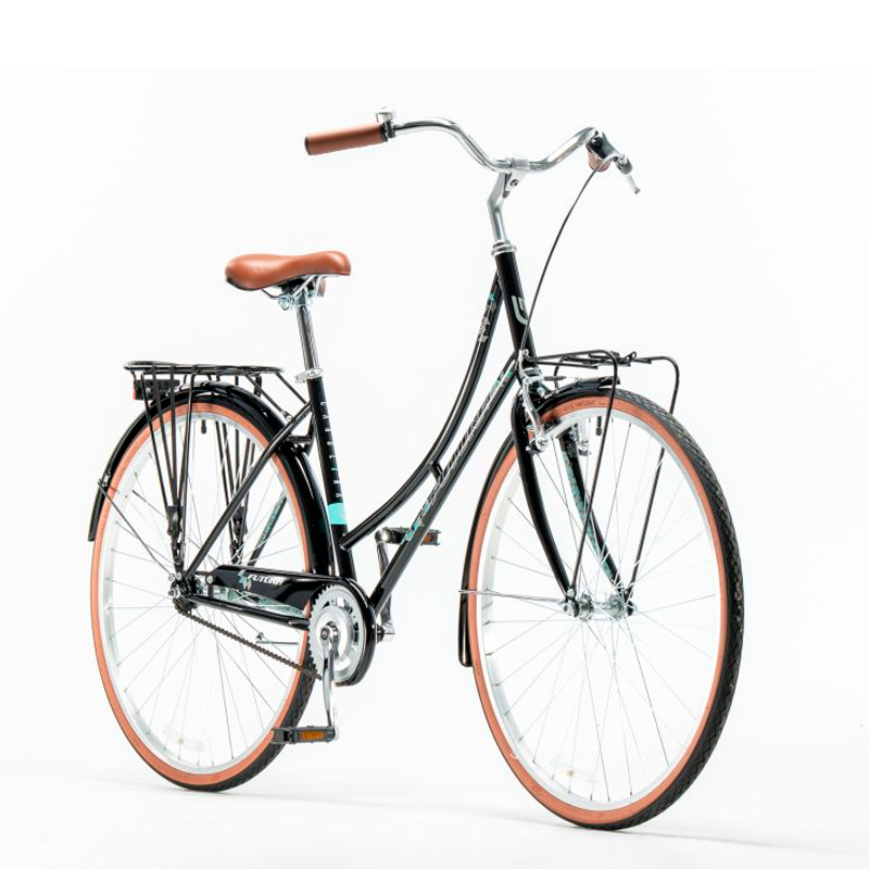 bicicleta carolina 5211 futura – con portaequipaje y porta objetos delantero bicicleta carolina 5211 futura – con portaequipaje y porta objetos delantero