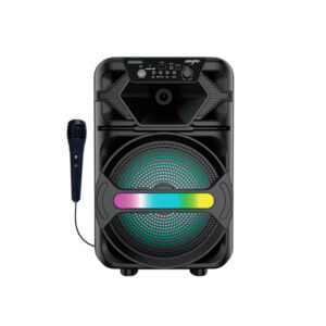 Home parlante bluetooth 8'' sing e abs 8102